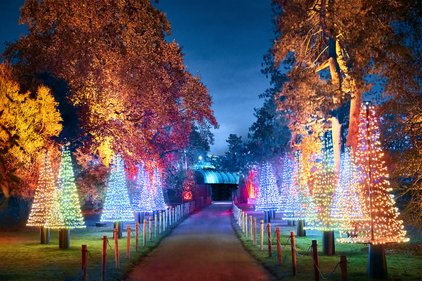 Christmas at Kew - The Best Christmas Markets