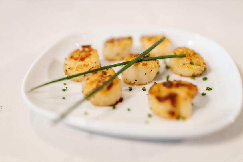 roasted scallops - best french restaurants in london